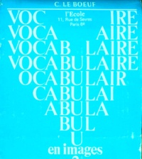 Christine Le Boeuf - Vocabulaire en images coffret - Tome 2.
