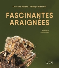 Christine Rollard et Philippe Blanchot - Fascinantes araignées.