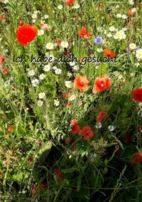 Ich habe dich gesucht
