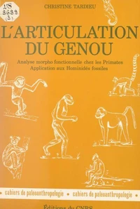 L'articulation du genou