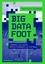 Big Data Foot. Comment les datas révolutionnent le football ?