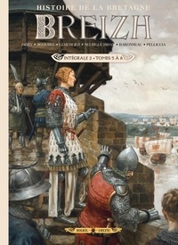 Christophe Babonneau et Gwendal Lemercier - Breizh Histoire de la Bretagne - Intégrale T05 à T08.