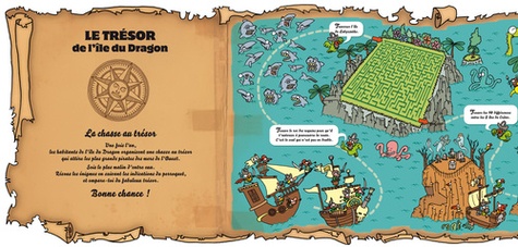 Le trésor de l'île du dragon - Occasion
