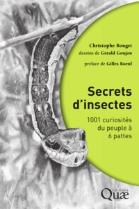 Christophe Bouget - Secrets d'insectes - 1001 curiosités du peuple à 6 pattes.