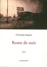 Christophe Bregaint - Route de nuit.