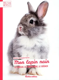 Mon lapin nain