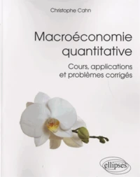 Macroéconomie quantitative