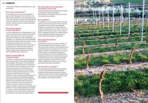 Guide amphore des vins bio  Edition 2017 - Occasion