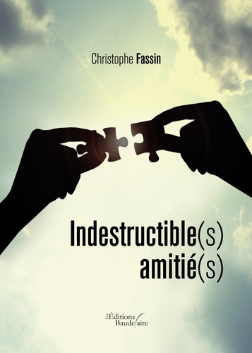 Christophe Fassin - Indestructible(s) amitié(s).