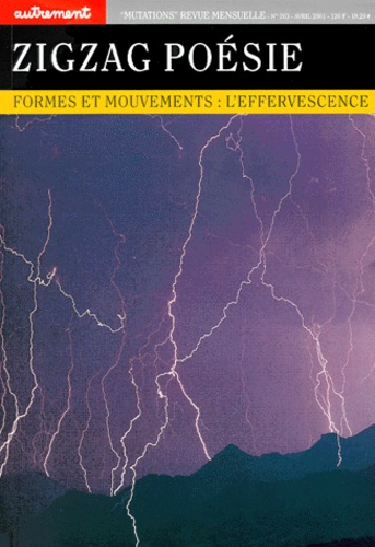Christophe Fauchon et  Collectif - Zigzag Poesie. Formes Et Mouvements : L'Effervescence.