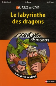 Le labyrinthe des dragons