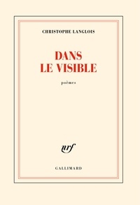 Christophe Langlois - Dans le visible.