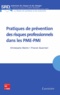 Christophe Martin et Franck Guarnieri - Pratiques de prévention des risques professionnels dans les PME-PMI.
