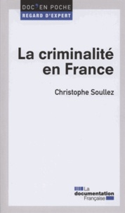 La criminalité en France.pdf