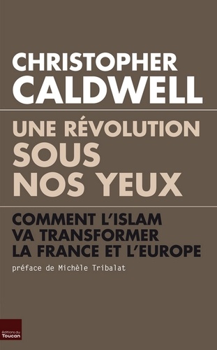 Une révolution sous nos yeux. Comment l'islam va transformer la France et l'Europe