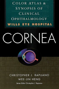 Cornea