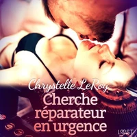 Cherche réparateur en urgence – Une nouvelle érotique