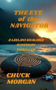 The Eye of the Navigator
