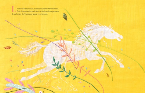 Le fille et le cheval blanc. Aux origines de la soie en Chine