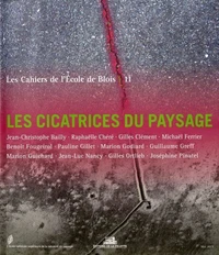 Les cicatrices du paysage