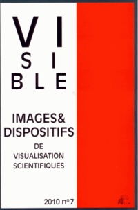 Alvise Mattozzi - Visible N° 7, 2010 : Camoufler le visible, exhiber l'invisible.