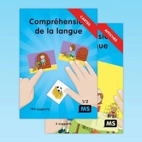 Compréhension de la langue MS