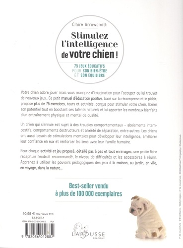 Stimulez l'intelligence de votre chien !