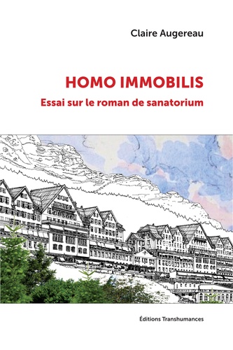 Homo immobilis : essai sur le roman de sanatorium