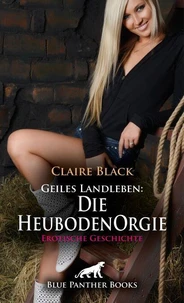 Geiles Landleben: Die HeubodenOrgie | Erotische Geschichte