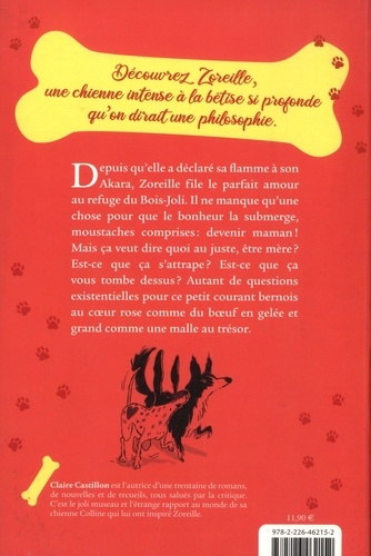 Zoreille du Bois-Joli Tome 2 Chamour et boeuf en gelé