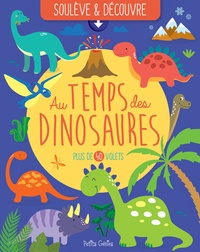 Claire Chabot et Emi Ordas - Au temps des dinosaures.