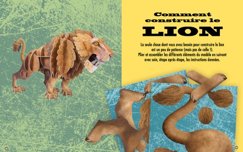 Construis en 3D un lion géant. Avec un livret de 48 pages