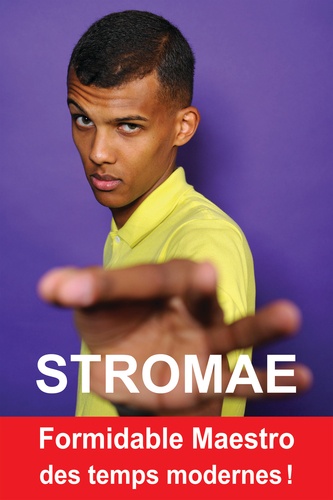 Claire Lescure - Stromae - Formidable Maestro des temps modernes !.