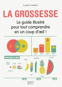 Claire Plimmer - La grossesse - Le guide illustré pour tout comprendre d'un coup d'oeil !.