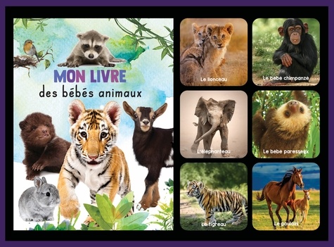 Mon coffret livre et jeu de mémoire des bébés animaux. Avec 1 jeu de mémoire de 48 cartes