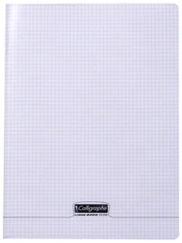 8000 polypro, cahier piqué incolore 24x32cm 96p q.5x5 90g