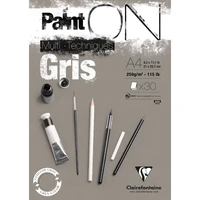 Bloc paint'on gris encollé a4 30f 250g