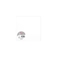 Cartes 160x160 mm 90g - 25 cartes - Blanc