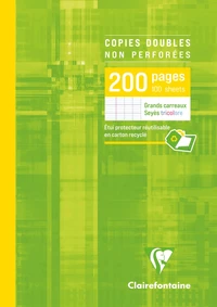 Copies doubles sous étui a4 - 21x29,7 cm - 200 pages non perforées grands carreaux 90g