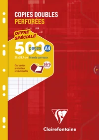 Copies doubles sous étui a4 - 500 pages perforées grands carreaux 90g