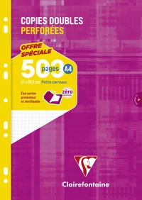 Copies doubles sous étui a4 - 500 pages perforées petits carreaux 5x5 90g