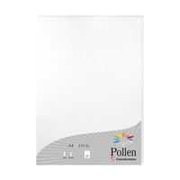 Etui 25f pollen 210x297 blanc irise 210g