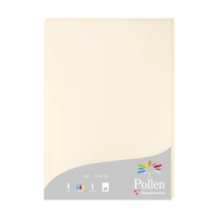Etui 25f pollen 210x297 ivoire 210g