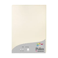 Etui 25f pollen 210x297 ivoire irise 210g