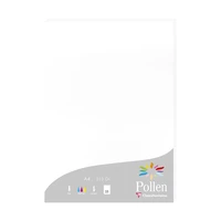 Etui de 25 feuilles Pollen 210x297 210g - Blanc