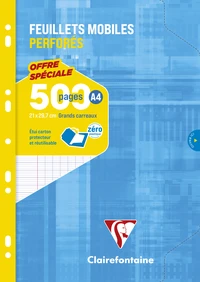 Feuillets mobiles sous étui a4 - 500 pages perforés grands carreaux 90g