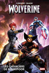 Les chevaliers de Madripoor