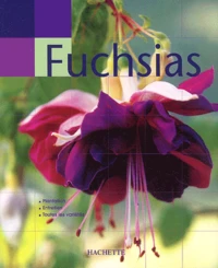 Fuchsias