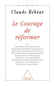 Le Courage De Reformer