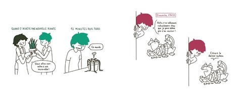 Moi, je préfère les chats